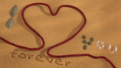 love-1271694_960_720