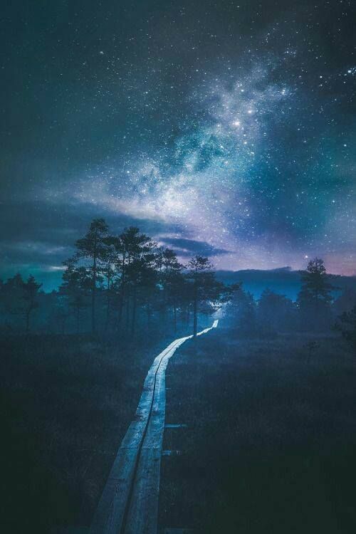 4fc2e6d5f57a7247782ac28993e2e054