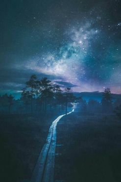 4fc2e6d5f57a7247782ac28993e2e054